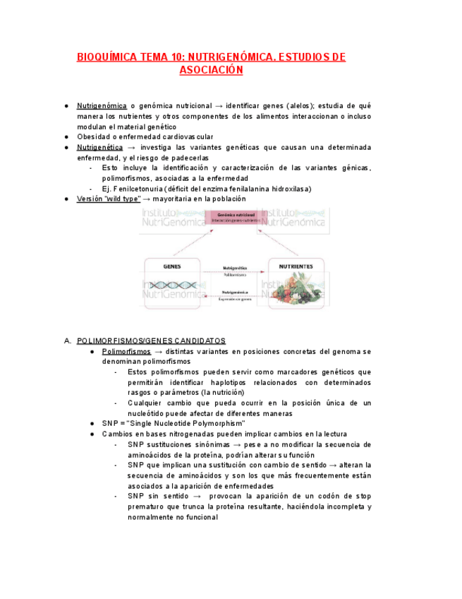 Miniatura del documento BIOQUIMICA-TEMA-10.pdf