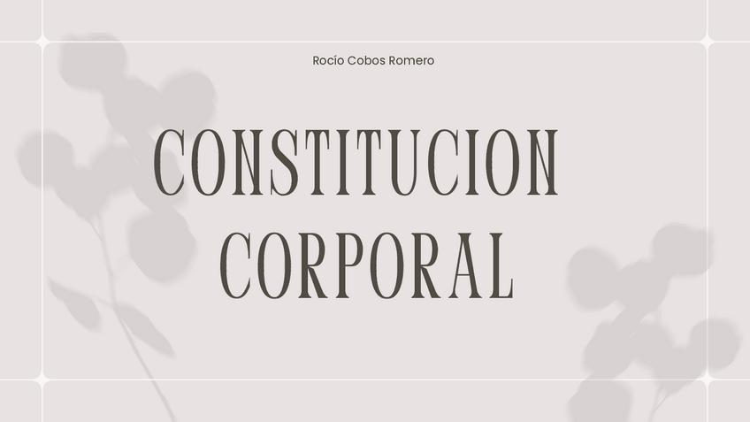 Miniatura del documento Constitucion-corporal.pdf