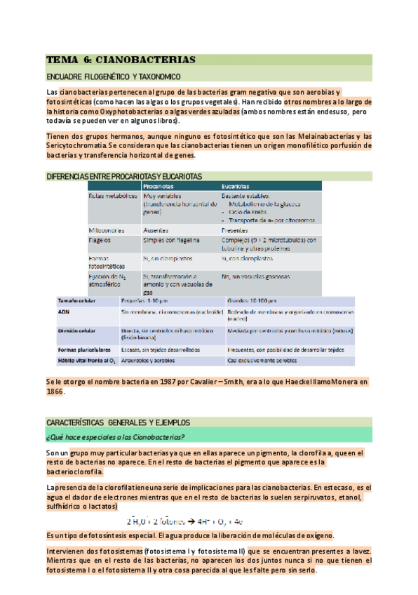 Miniatura del documento TEMA-6.pdf