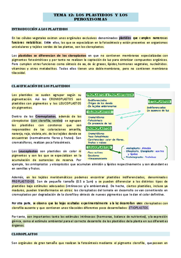 Miniatura del documento Tema-12-cloroplastos.pdf