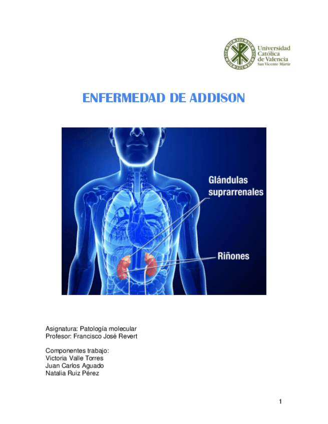 Miniatura del documento enfermedad-de-addison.pdf