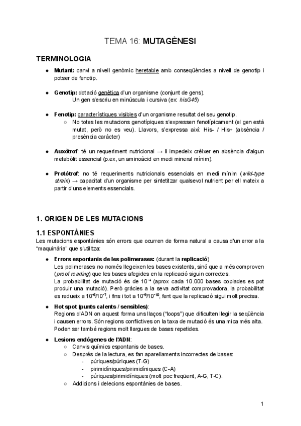 Miniatura del documento tema-16-Mutagenesi.pdf