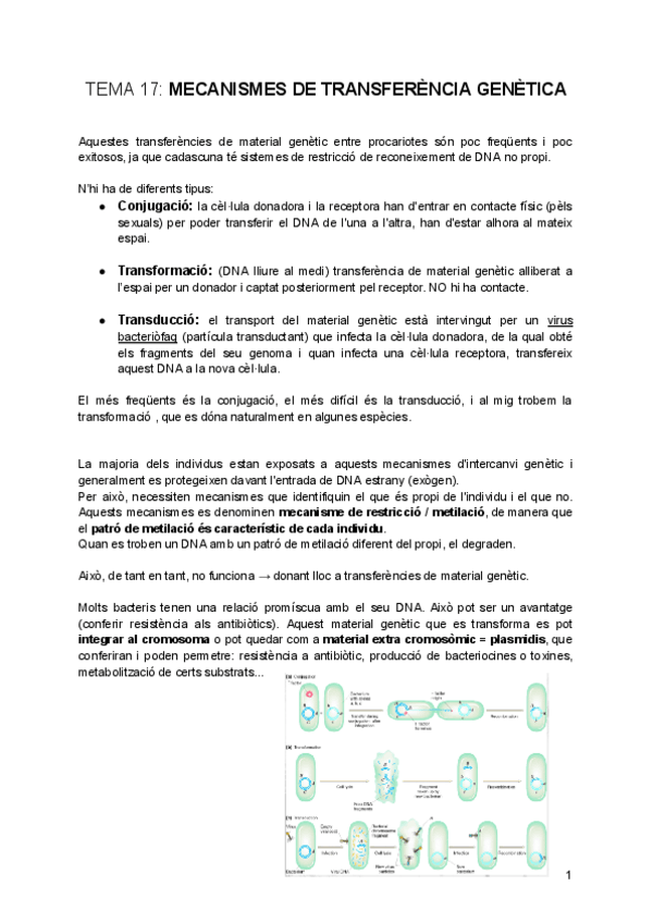 Miniatura del documento tema-17-Mecanismes-de-Transferencia-Genetica.pdf