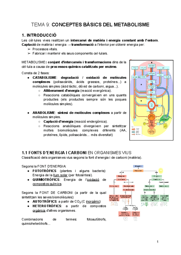 Miniatura del documento tema-9-Conceptes-basics-del-Metabolisme.pdf