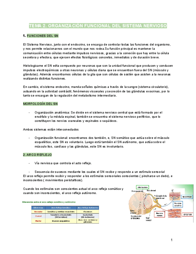 Miniatura del documento Tema-2.pdf