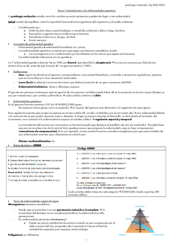 Miniatura del documento Tema-1-Introduccion-a-las-enfermedades-geneticas.pdf