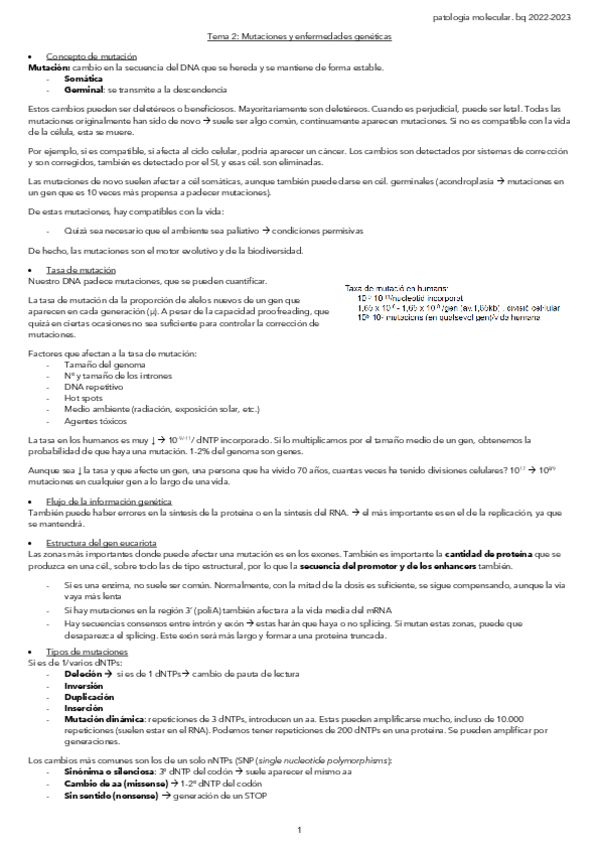 Miniatura del documento Tema-2-Mutaciones-y-enfermedades-geneticas.pdf