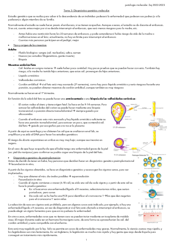 Miniatura del documento Tema-3-Diagnostico-genetico-molecular.pdf