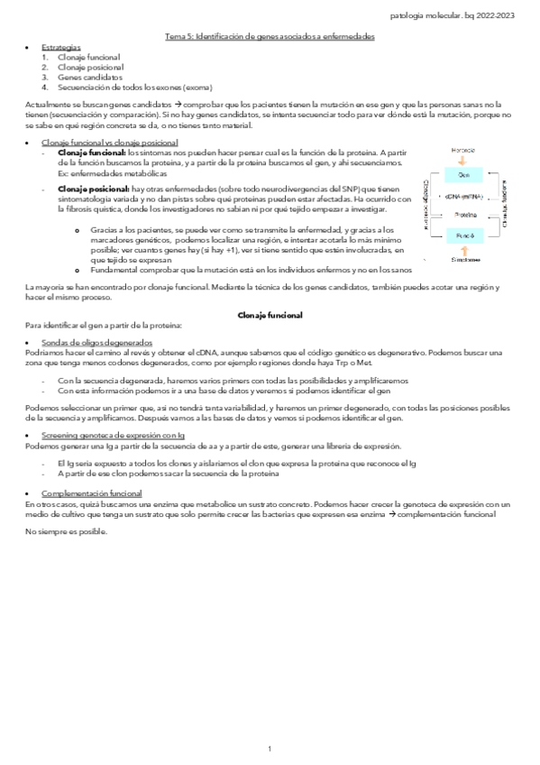 Miniatura del documento Tema-5-Identificacion-de-genes-asociados-a-enfermedades.pdf