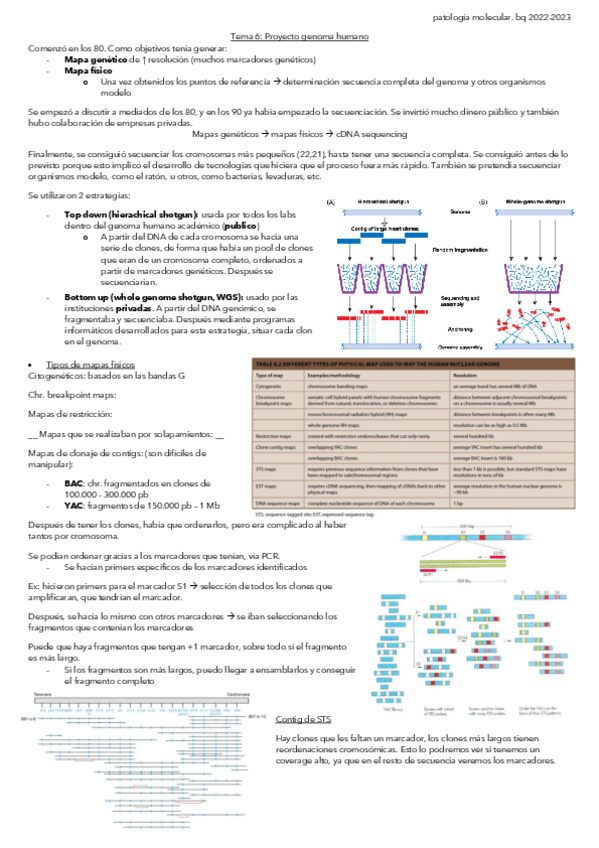 Miniatura del documento Tema-6-Proyecto-genoma-humano.pdf