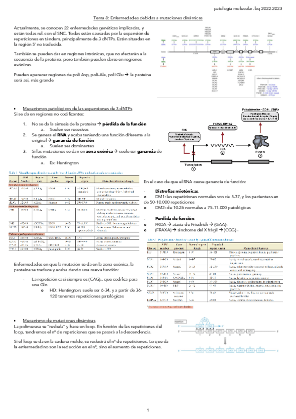 Miniatura del documento Tema-8Enfermedades-debidas-a-mutaciones-dinamicas.pdf
