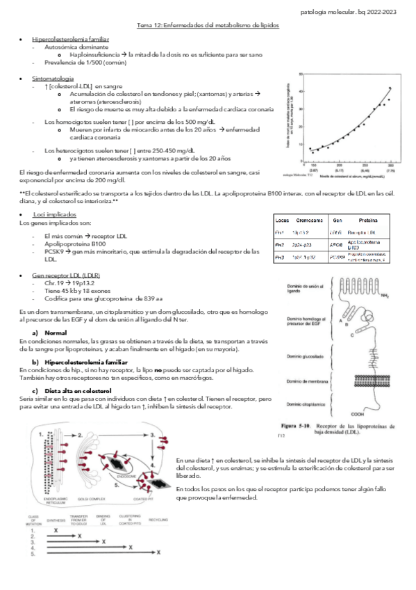 Miniatura del documento Tema-12.-Enfermedades-del-metabolismo-de-lipidos.pdf
