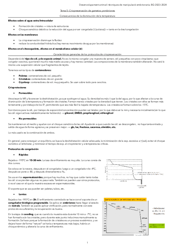 Miniatura del documento Tema-5.-Criopreservacion-de-gametos-y-embriones.pdf