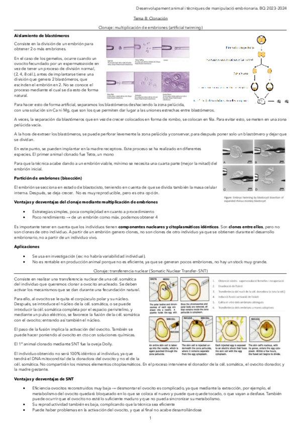 Miniatura del documento Tema-8.-Clonacion.pdf