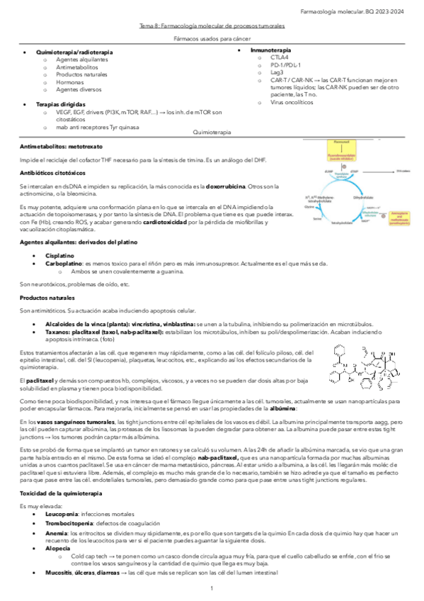 Miniatura del documento Tema-8.-Farmacologia-molecular-de-procesos-tumorales.pdf