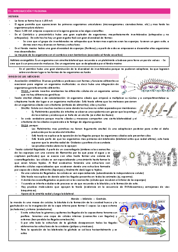 Miniatura del documento RESUM-PRIMER-PARCIAL.docx.pdf