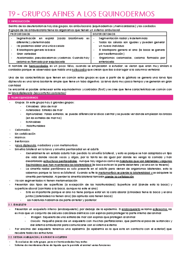 Miniatura del documento T9-GRUPOS-AFINES-A-LOS-EQUINODERMOS.docx.pdf