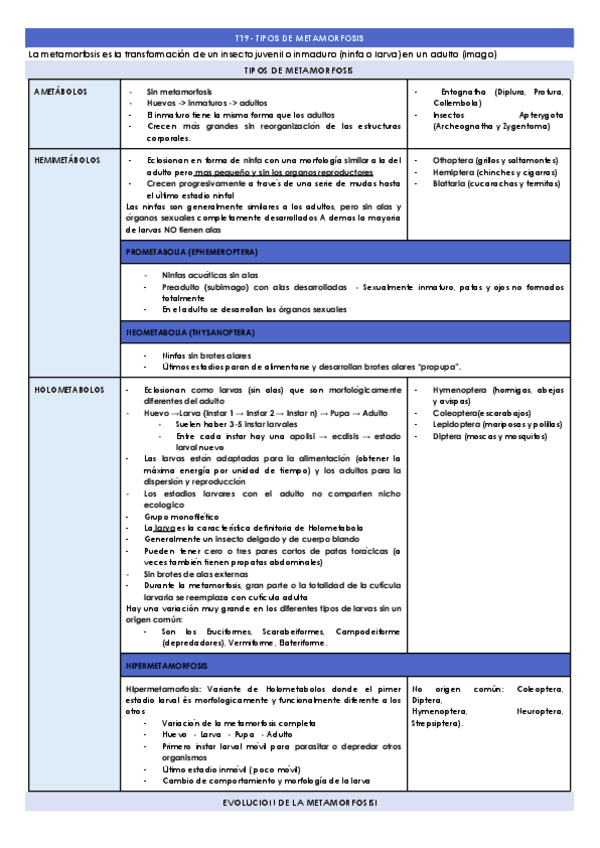 Miniatura del documento T19-TIPOS-DE-METAMORFOSIS-.docx.pdf