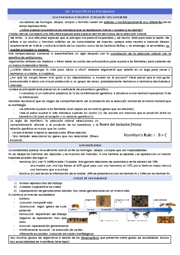 Miniatura del documento T20-EVOLUCION-DE-LA-SOCIABILIDAD.docx.pdf