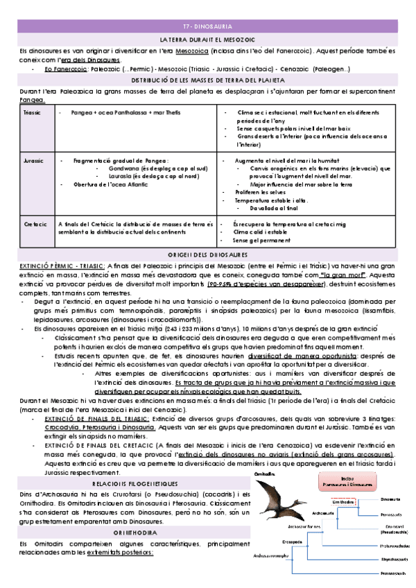 Miniatura del documento T7.1-DINOSAURIA.docx.pdf
