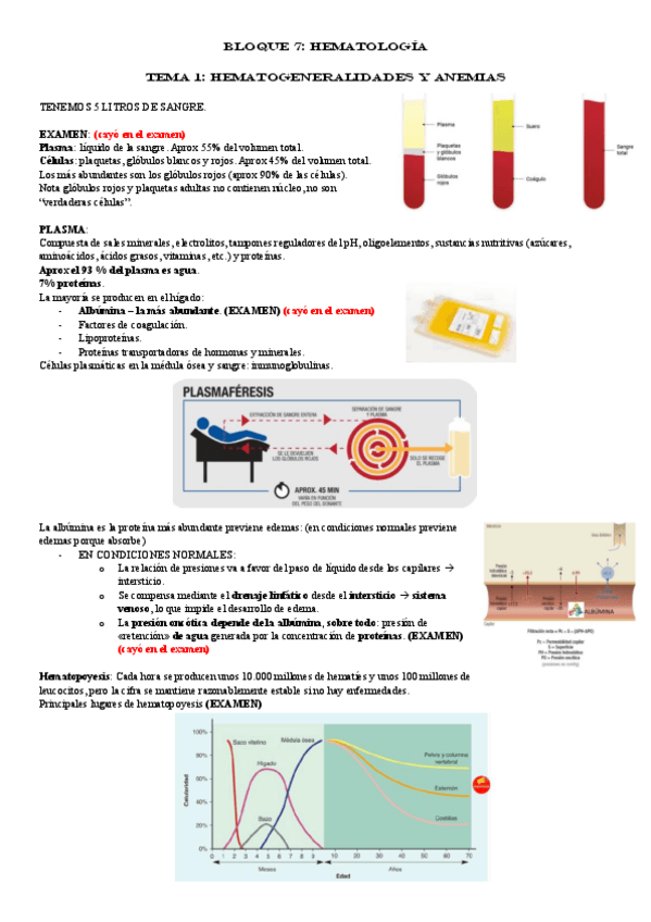 Miniatura del documento BLOQUE-7-HEMATOLOGIA.pdf
