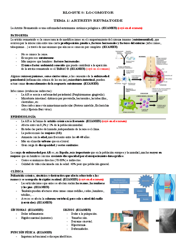 Miniatura del documento BLOQUE-8-LOCOMOTOR.pdf
