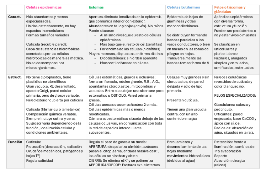 Miniatura del documento tema-13-vegetal-tabla-resumen.pdf