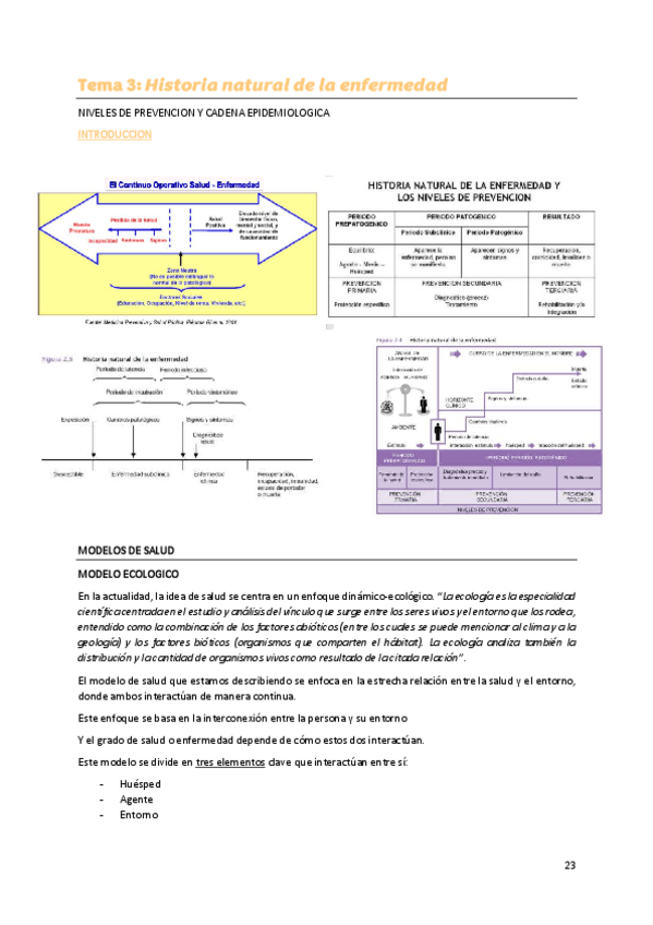 Miniatura del documento Tema-3-Historia-natural-de-la-enfermedad.pdf