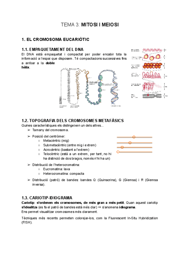 Miniatura del documento tema-3-Mitosi-i-meisoi.pdf