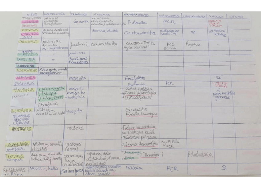 Miniatura del documento cuadro-resumen-VIRUS.pdf