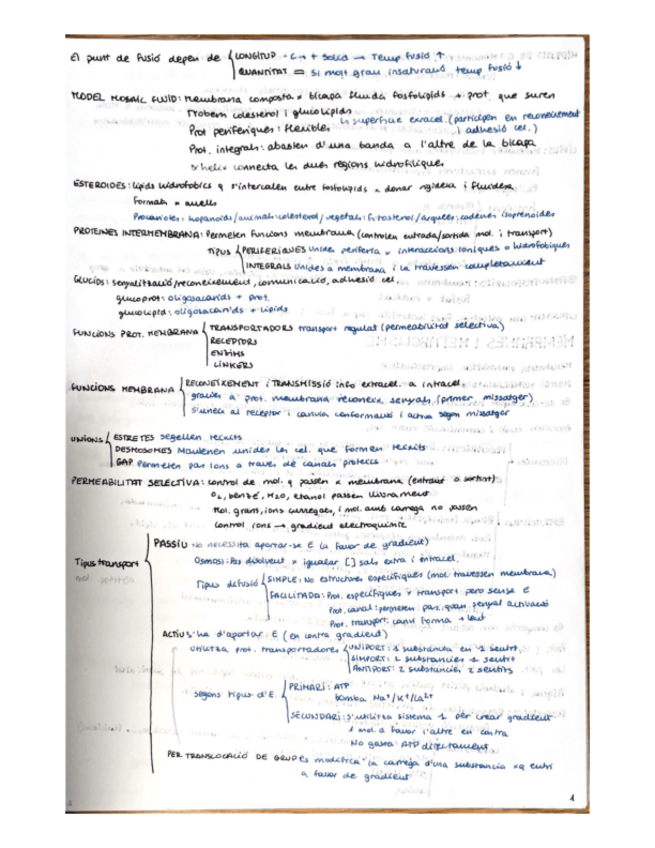 Miniatura del documento Resum-Bio-I.pdf
