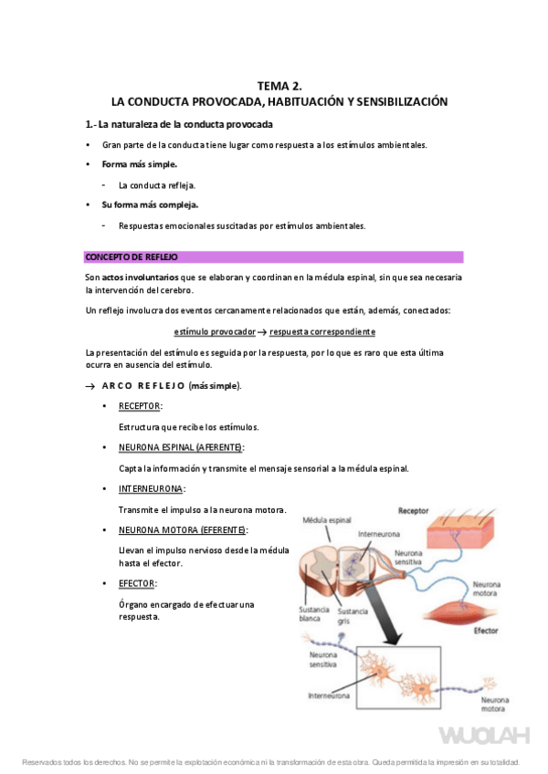 Miniatura del documento 2-conducta-provocada-habituacion-y-sensibilizacion.pdf