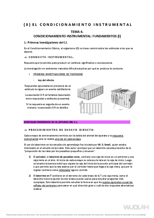 Miniatura del documento 6-condicionamiento-instrumental-fundamentos.pdf