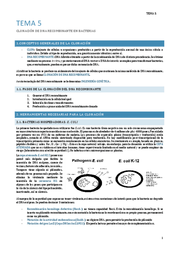 Miniatura del documento INGE-T5.pdf