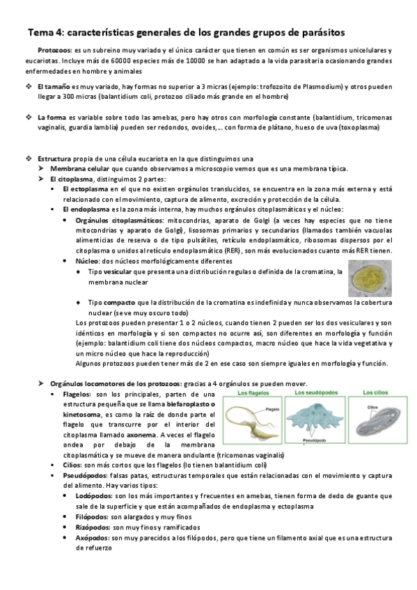Miniatura del documento 1 Victoriano parte.pdf