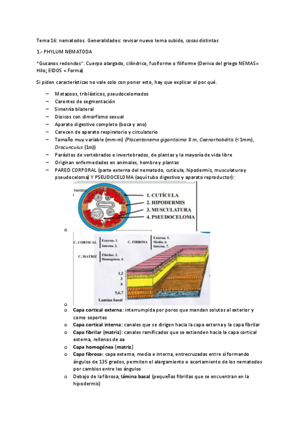 Miniatura del documento Parasito-segundo-parcial.pdf