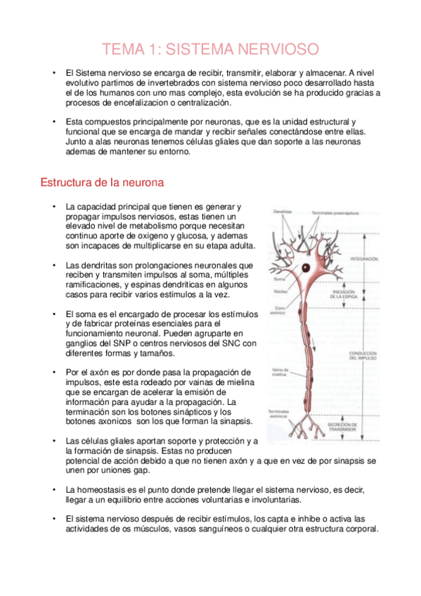 Miniatura del documento Tema1Sistema-nervioso.pdf