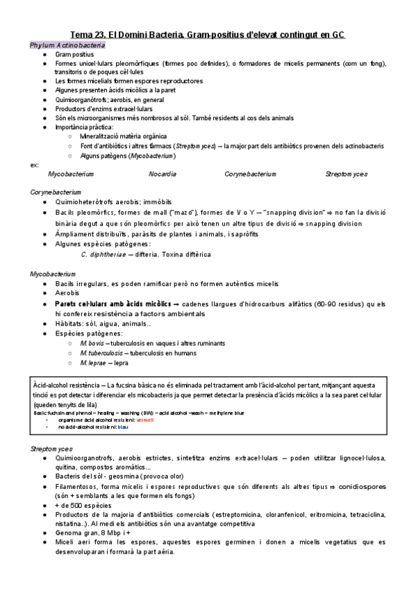 Miniatura del documento T23.pdf