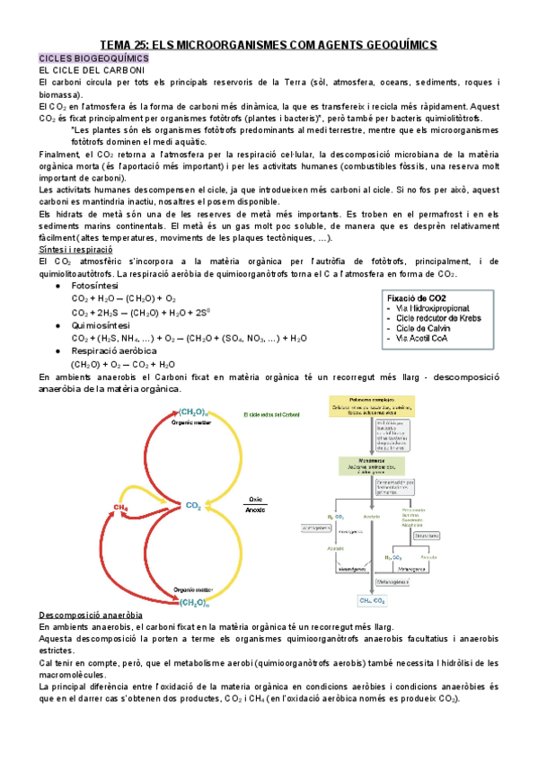 Miniatura del documento T25.pdf