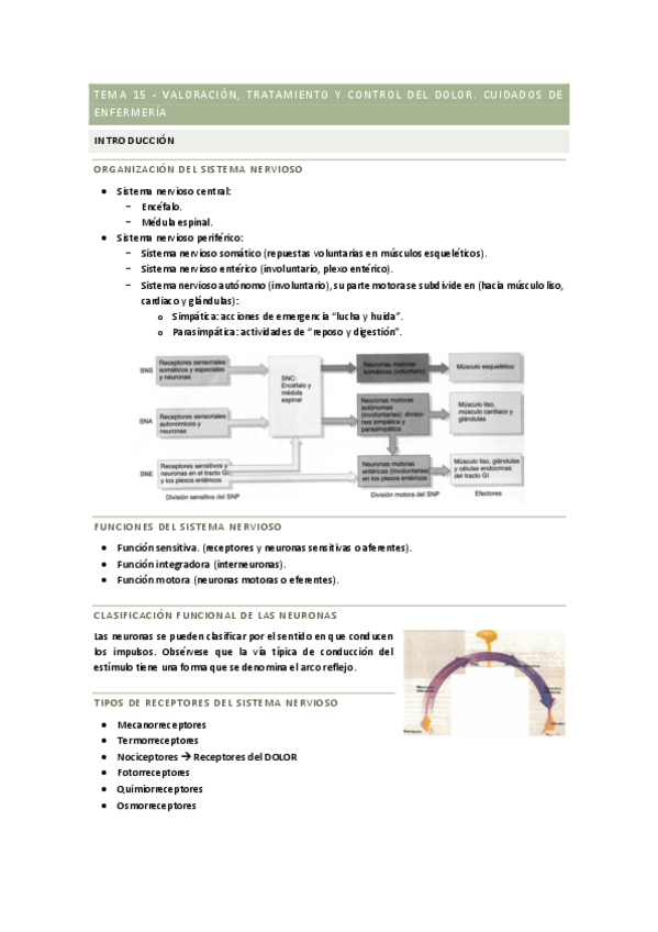 Miniatura del documento Tema-15-Valoracion-tratamiento-y-crontrol-del-dolor.-Cuidados-de-enfermeria.pdf