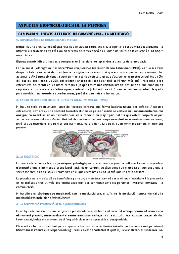Miniatura del documento APUNTES ABS SEMINARIO - BLOC A.pdf