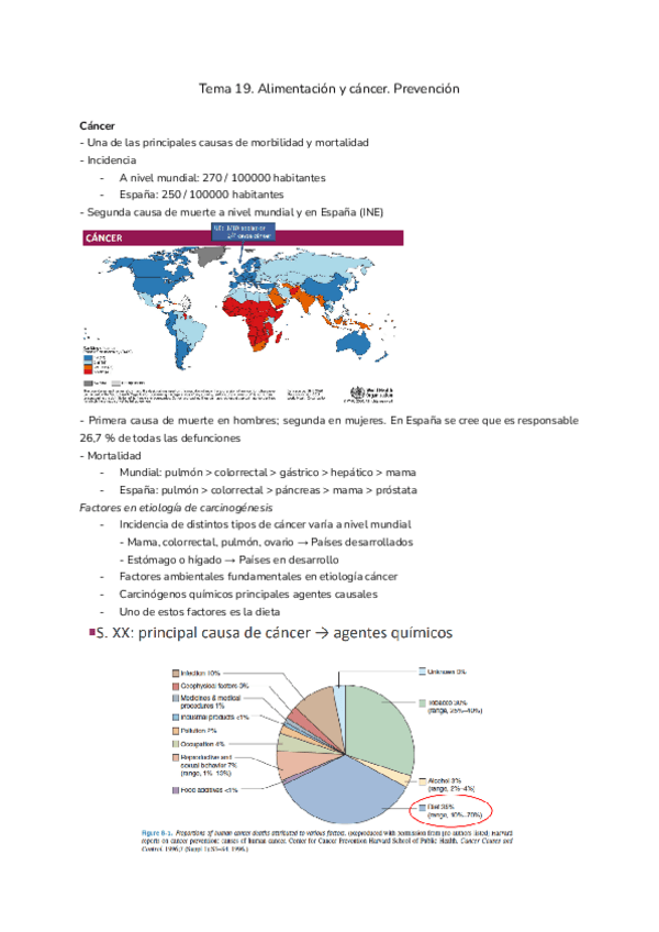Miniatura del documento Tema-19.-Alimentacion-y-cancer.pdf