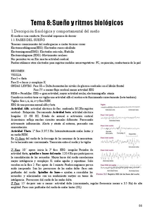 Miniatura del documento Tema-8-fisio.pdf