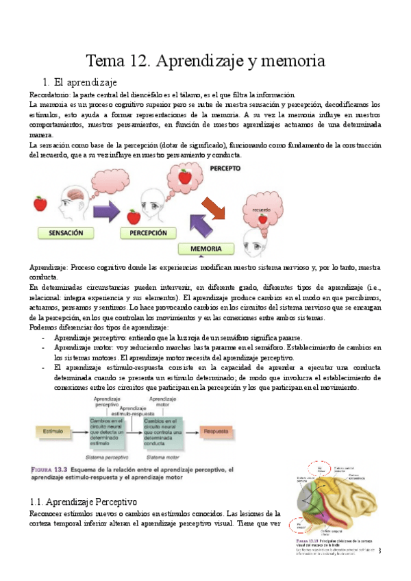 Miniatura del documento Tema-12-fisio.pdf