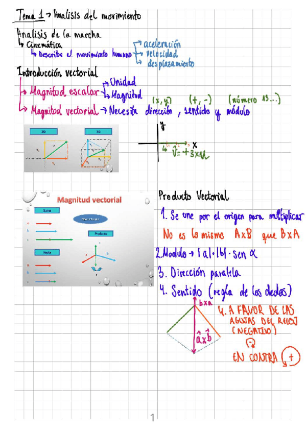 Miniatura del documento Tema-1-fundamentos-de-la-biomecanica.pdf