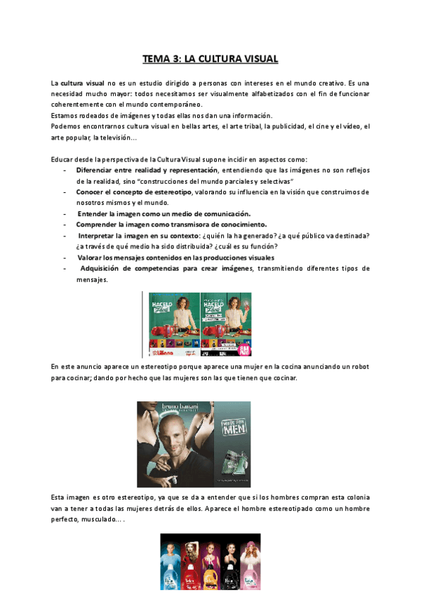 Miniatura del documento TEMA-3-LA-CULTURA-VISUAL.pdf