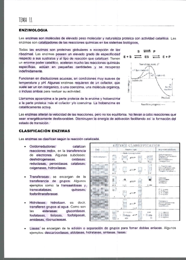 Miniatura del documento BIOQUIMICA-PARTE-II.pdf