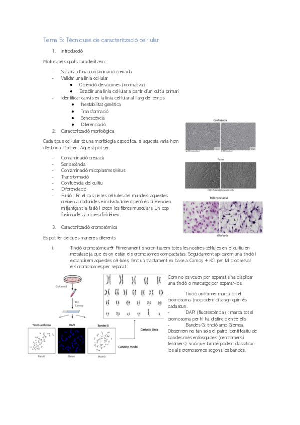 Miniatura del documento cultius-tema-5.pdf