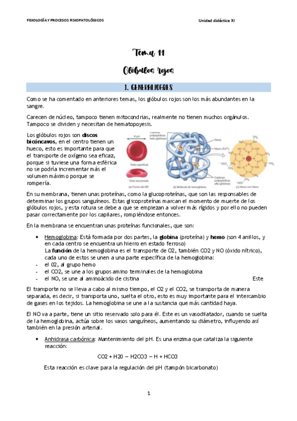 Miniatura del documento Tema-11.pdf