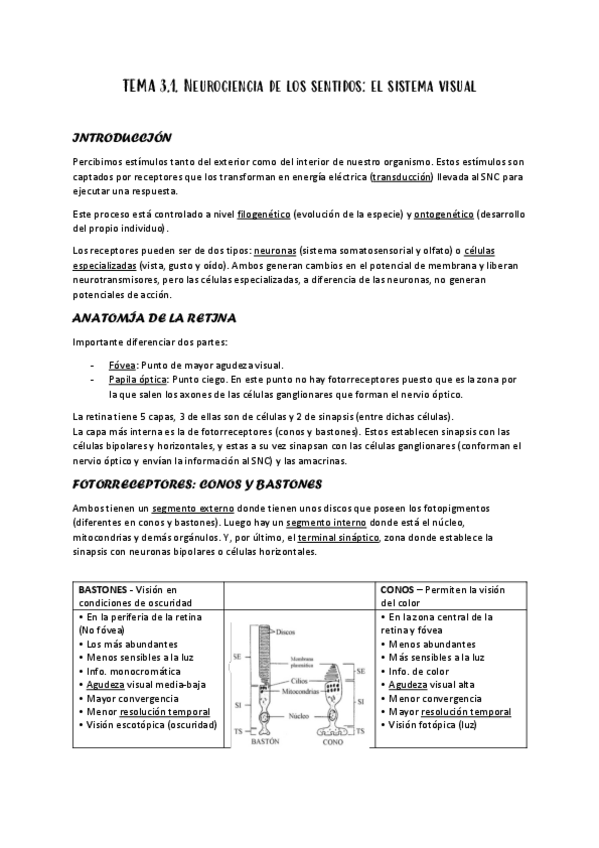 Miniatura del documento 3.1.-NEUROCIENCIA-DE-LOS-SENTIDOS-LA-VISTA.pdf